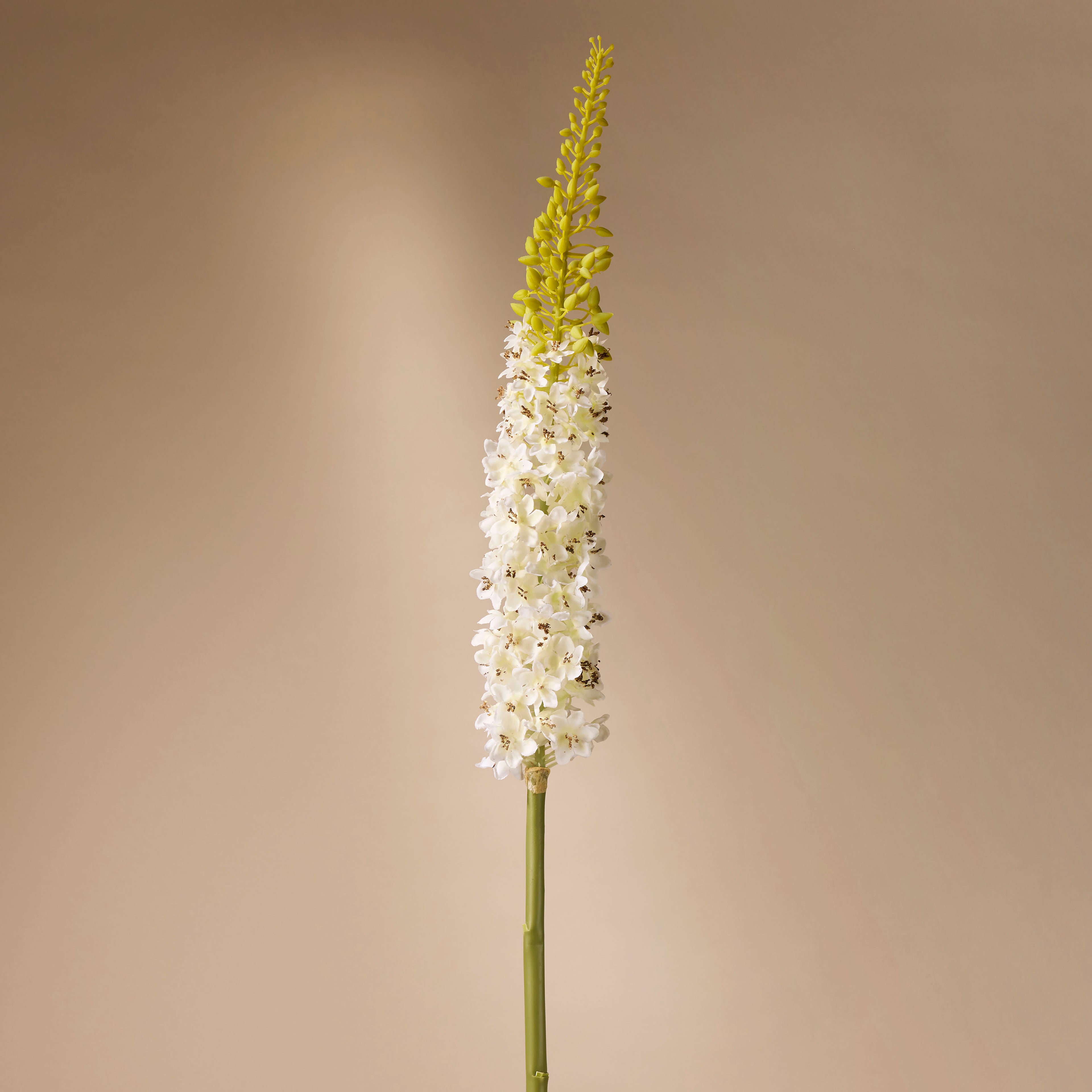 Faux Foxtail Stem | Cream - 70cm