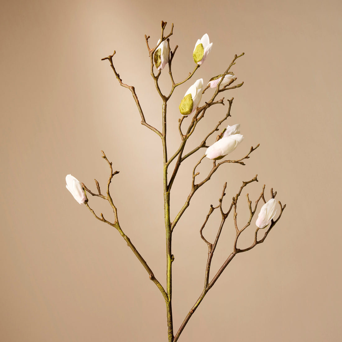 Faux Magnolia Bud Branch | Cream - 75cm