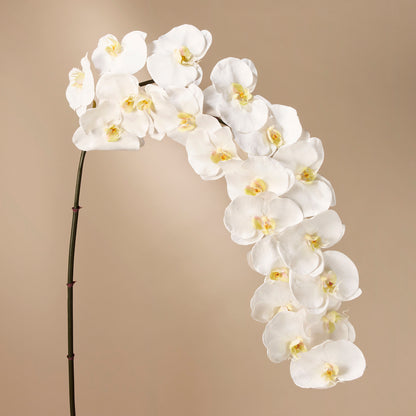 Faux Grand Phalaenopsis Orchid Stem | White - 80cm