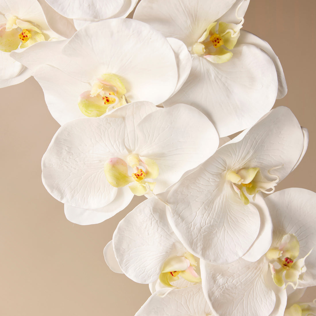 Faux Grand Phalaenopsis Orchid Stem | White - 80cm