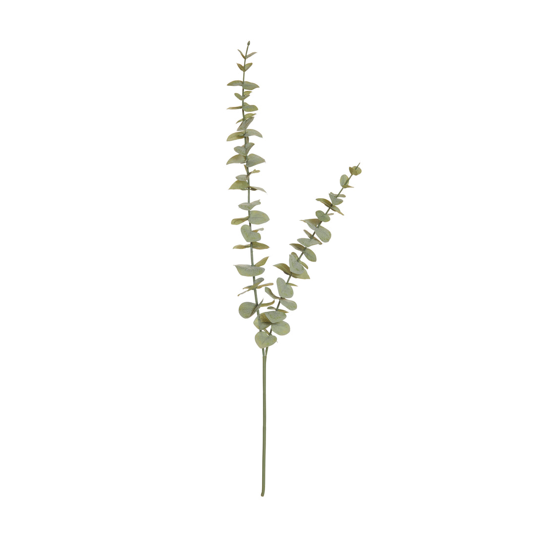 Rogue Eucalyptus Spray Green