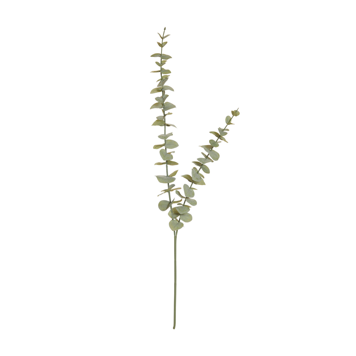 Rogue Eucalyptus Spray Green
