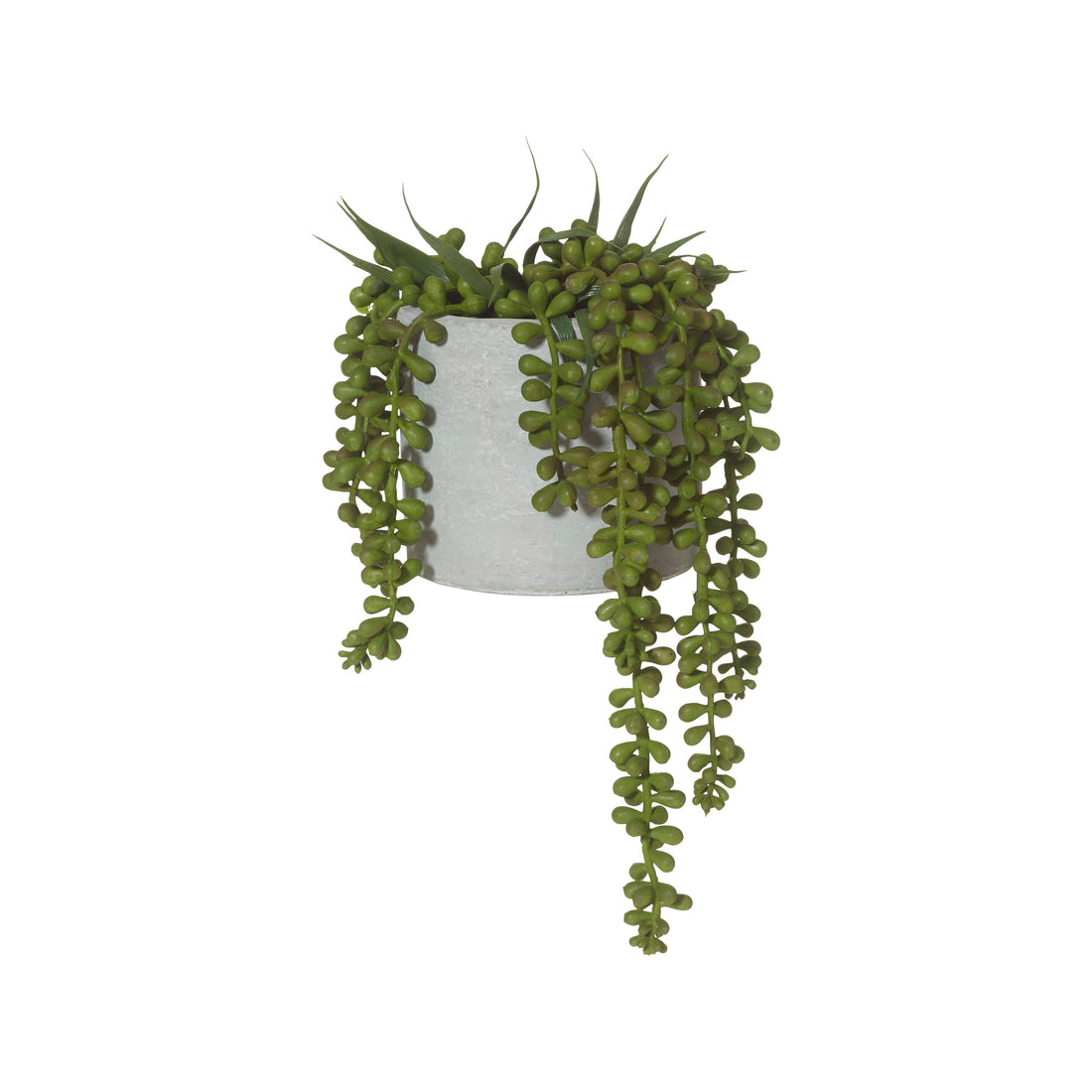 Rogue String of Pearls - Cement Pot Green/Grey