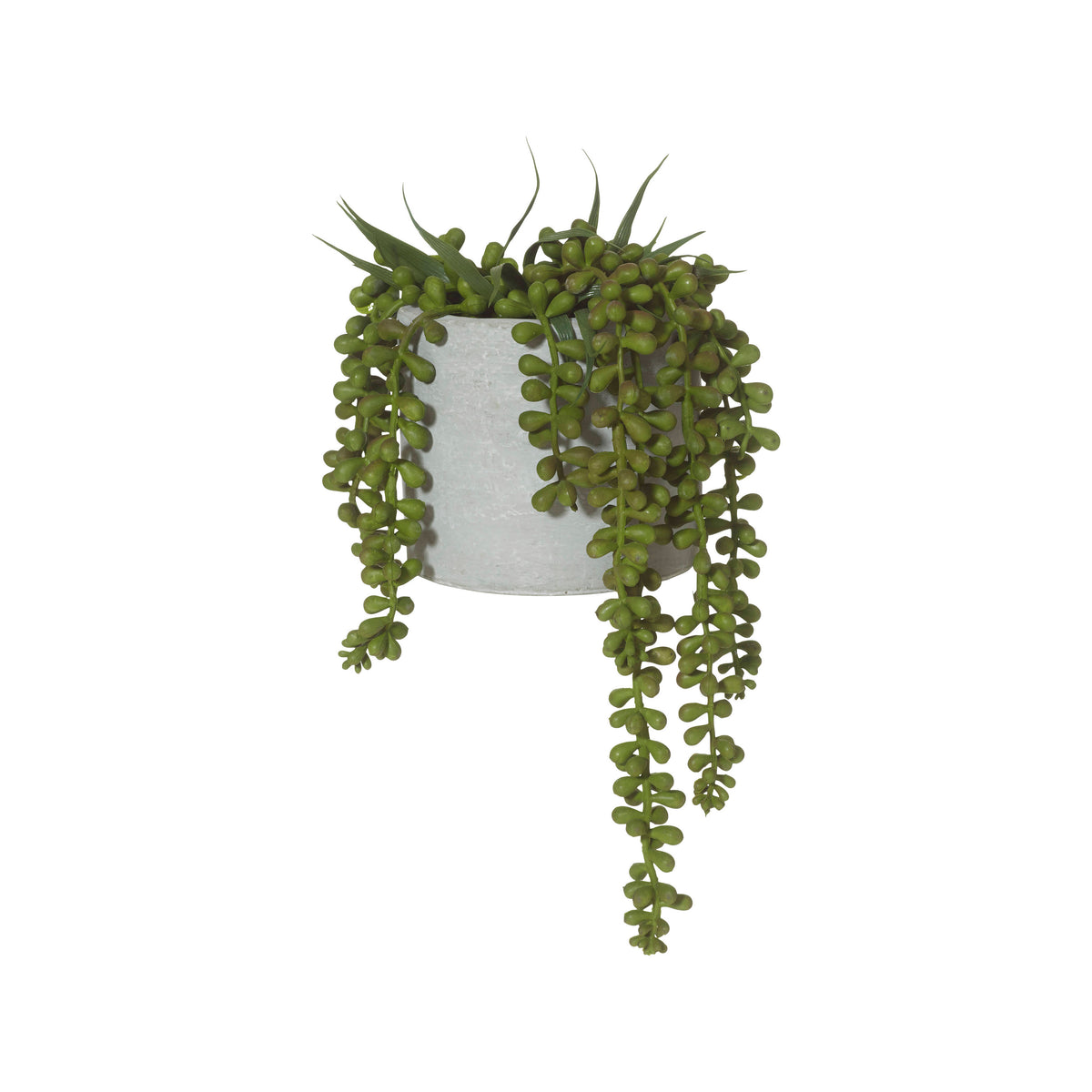 Rogue String of Pearls - Cement Pot Green/Grey
