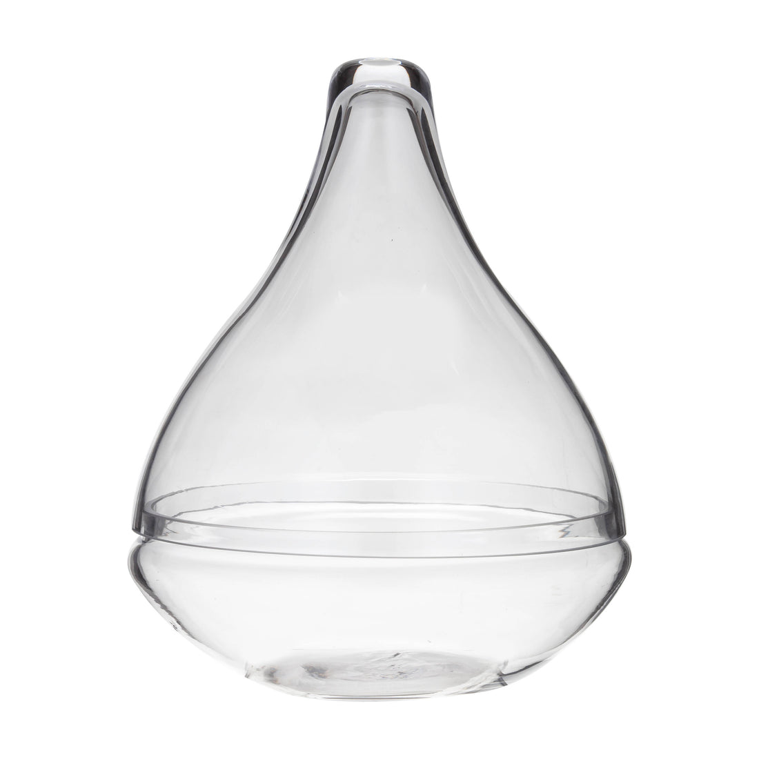Rogue Seraphina Terrarium Clear