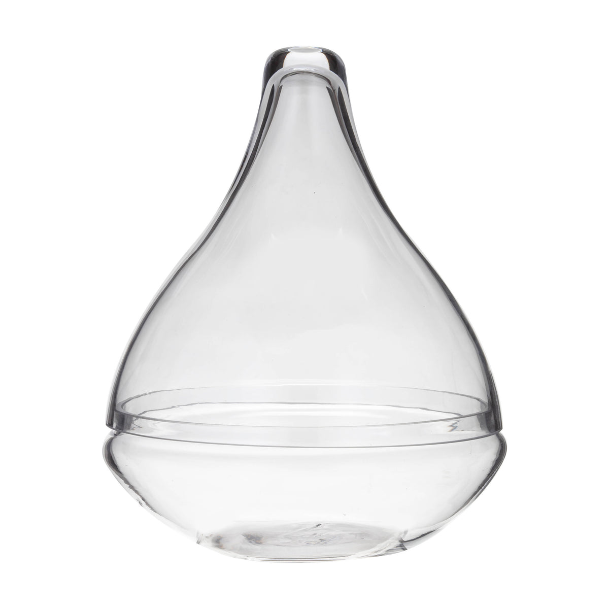 Rogue Seraphina Terrarium Clear