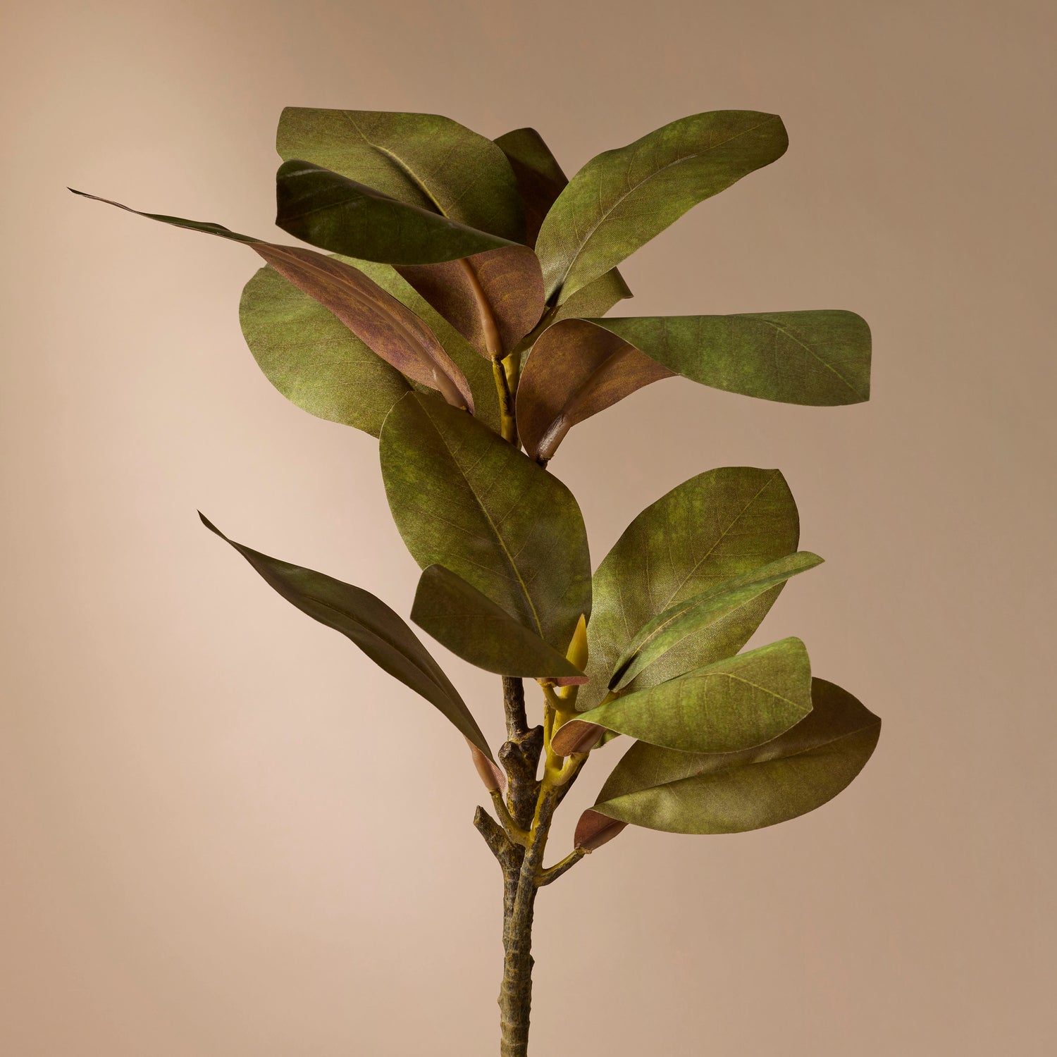 Faux Magnolia Foliage | Green - 83cm