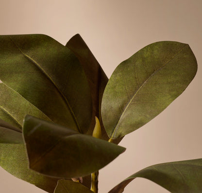 Faux Magnolia Foliage | Green - 83cm