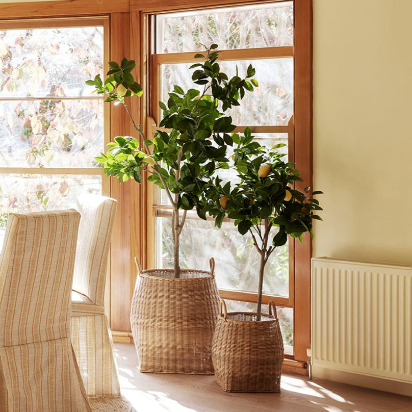 Laos Planter Set of 2 | Beige