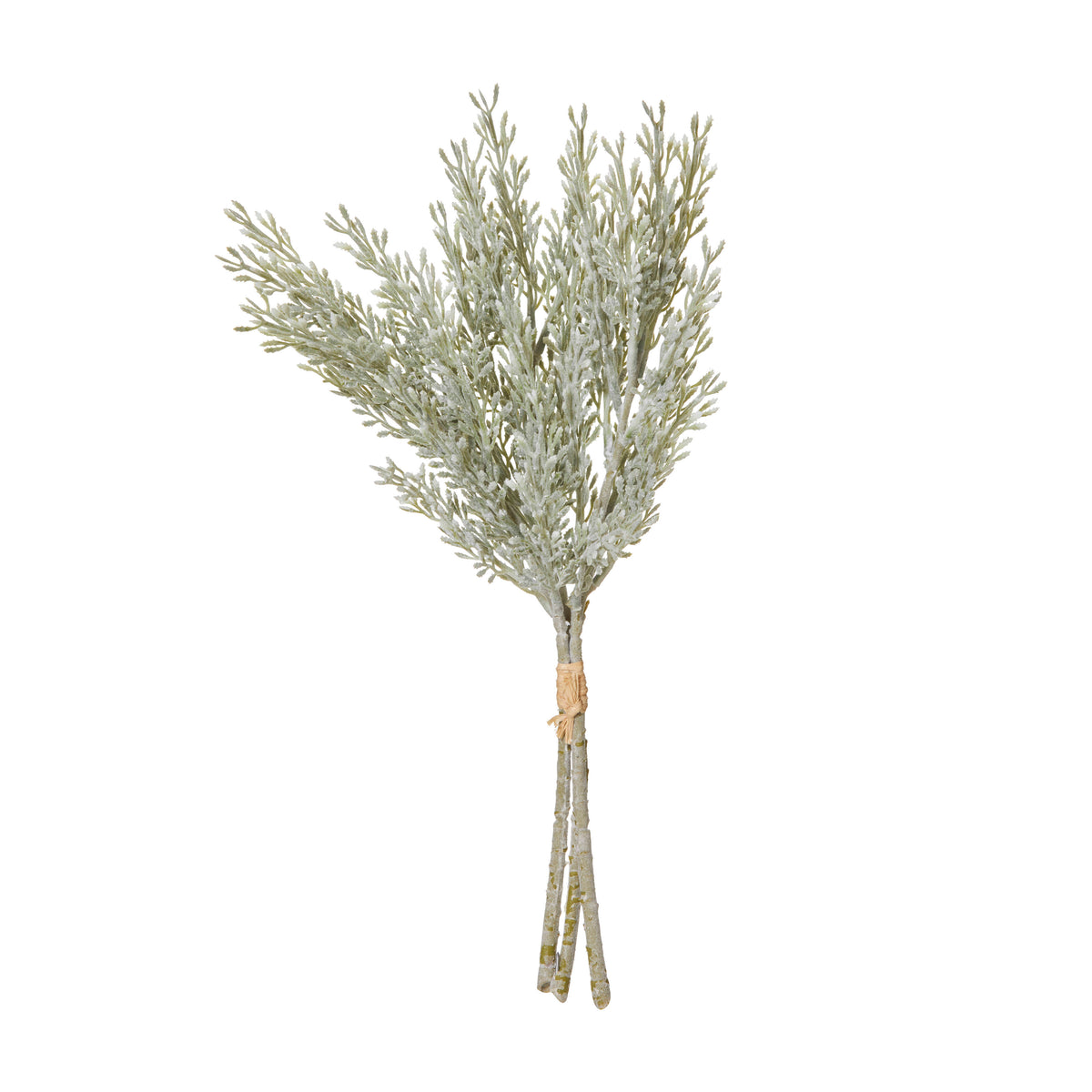 Rogue Dusty Miller Bundle Green/White