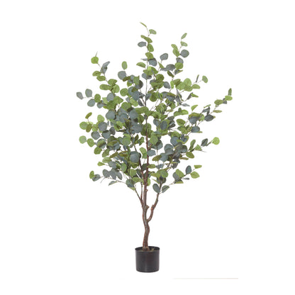 Rogue Eucalyptus Tree Green
