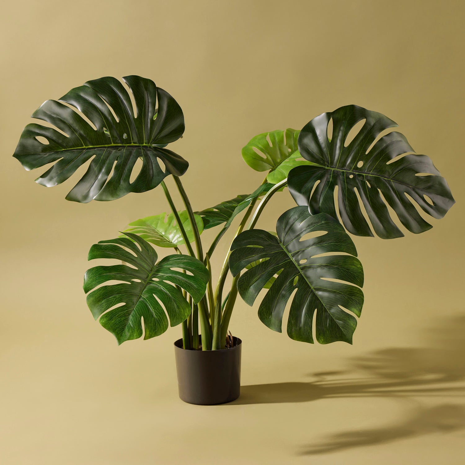 buy monstera deliciosa brisbane Artificial Monstera Plant