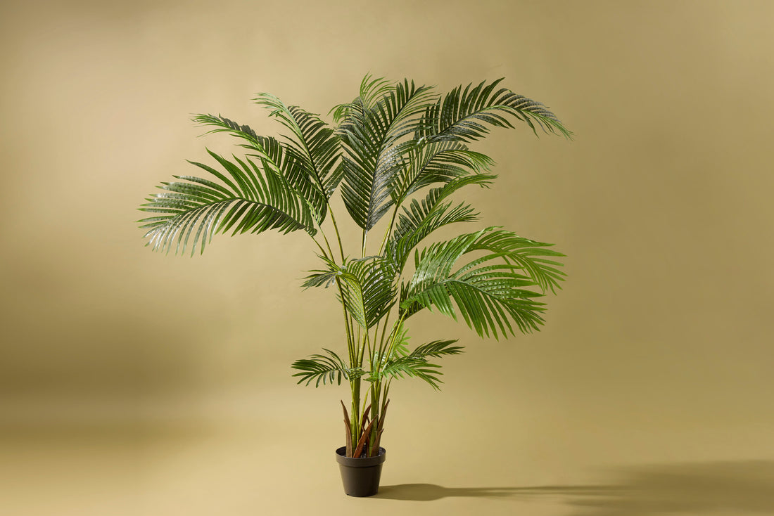 Faux Areca Palm Tree | 170cm