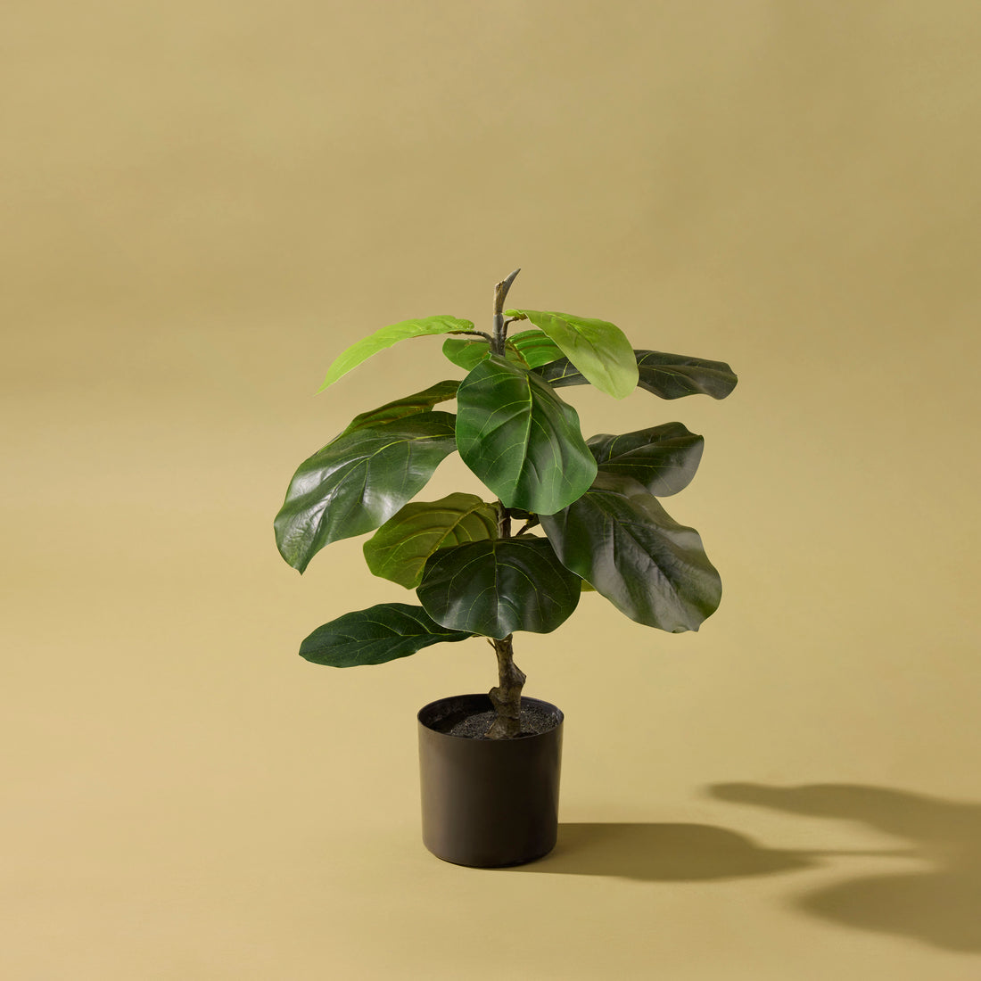 Faux Giant Fiddle Leaf Fig Plant | 55cm