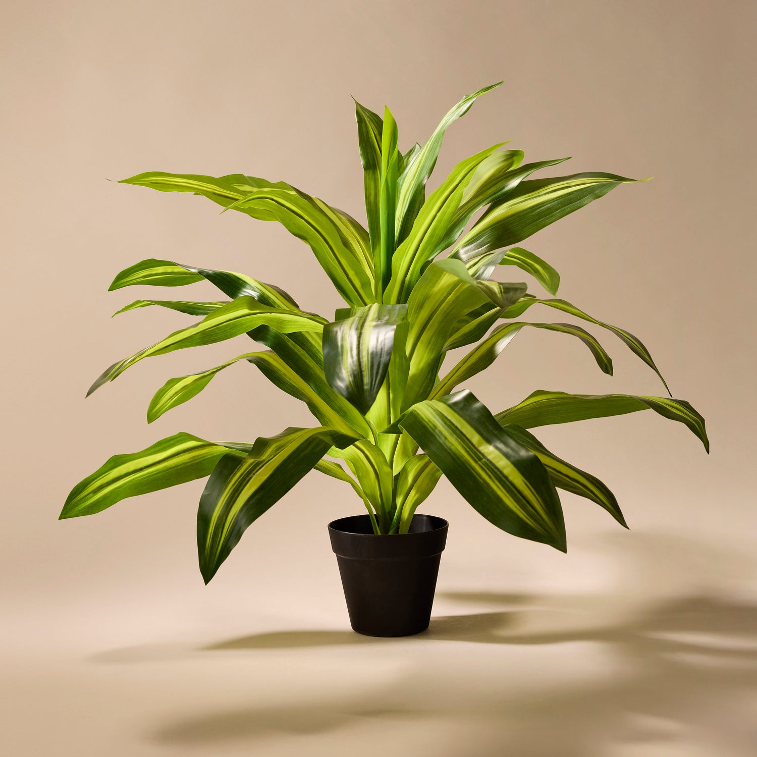 Faux Dracaena Plant | 60cm