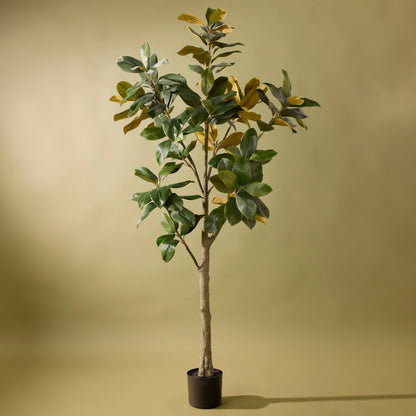 Faux Magnolia Tree | 183cm