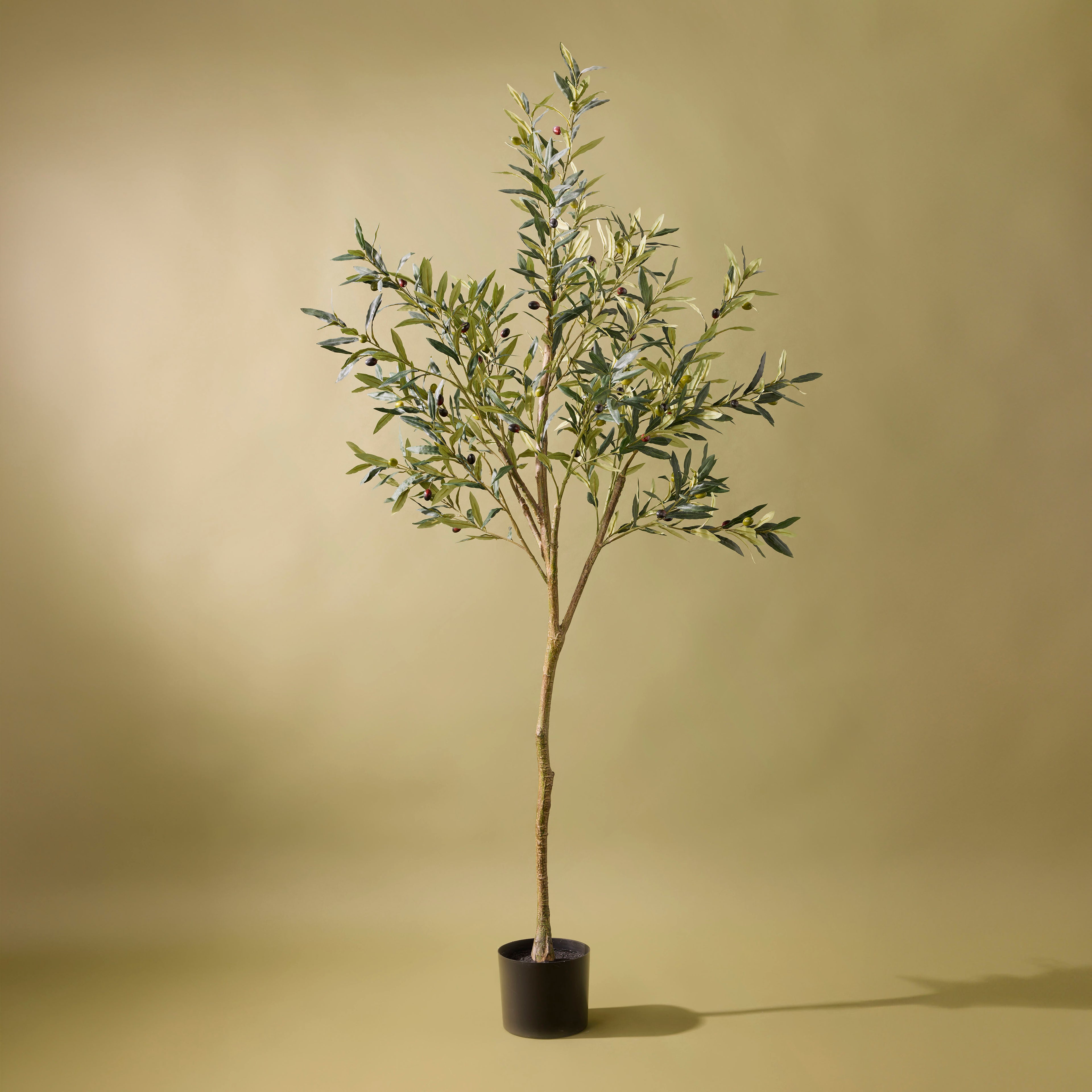 Faux Olive Tree | 183cm