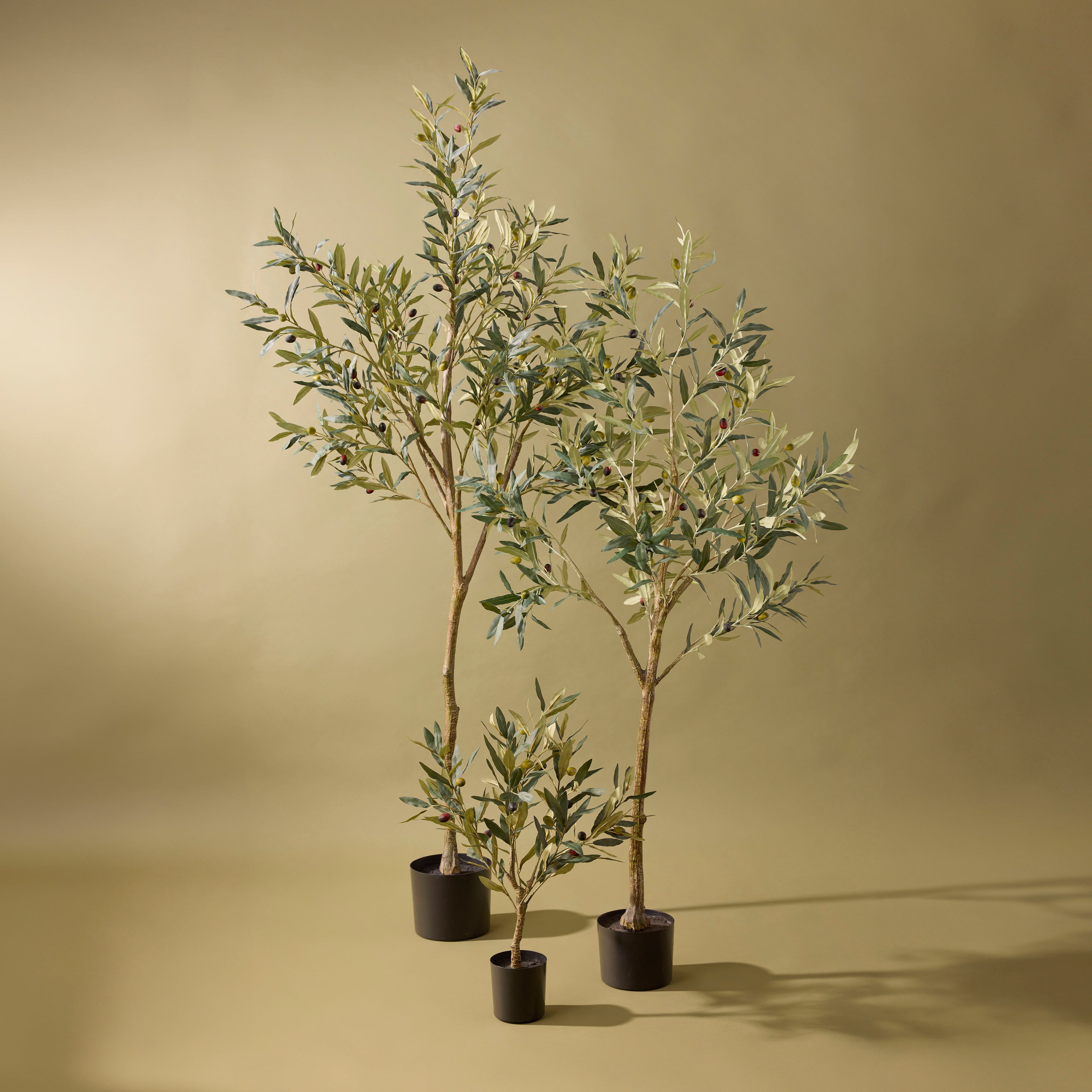 Faux Olive Tree | 183cm