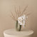 Vanda Orchid - Bud Branch - Fluid Vase 24cm | Three Birds Set