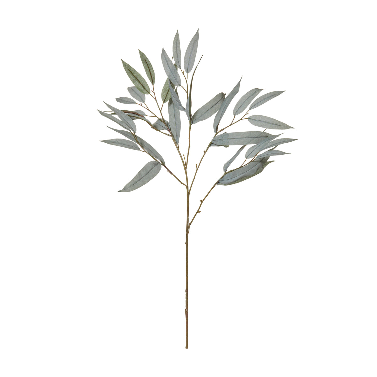Rogue Eucalyptus Spray Grey Green