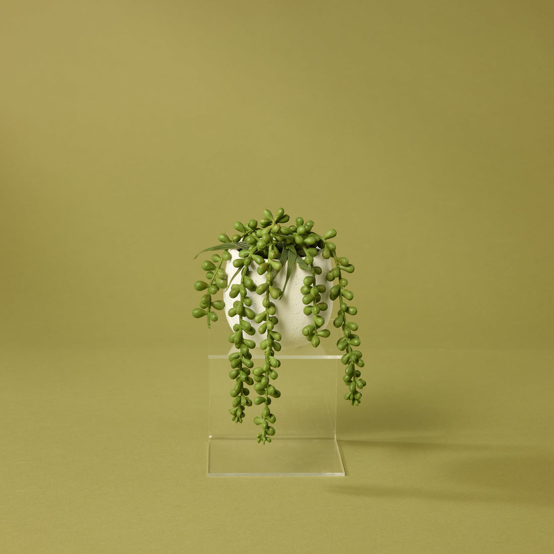 Faux Hanging Pearls - Tub Pot | 22cm