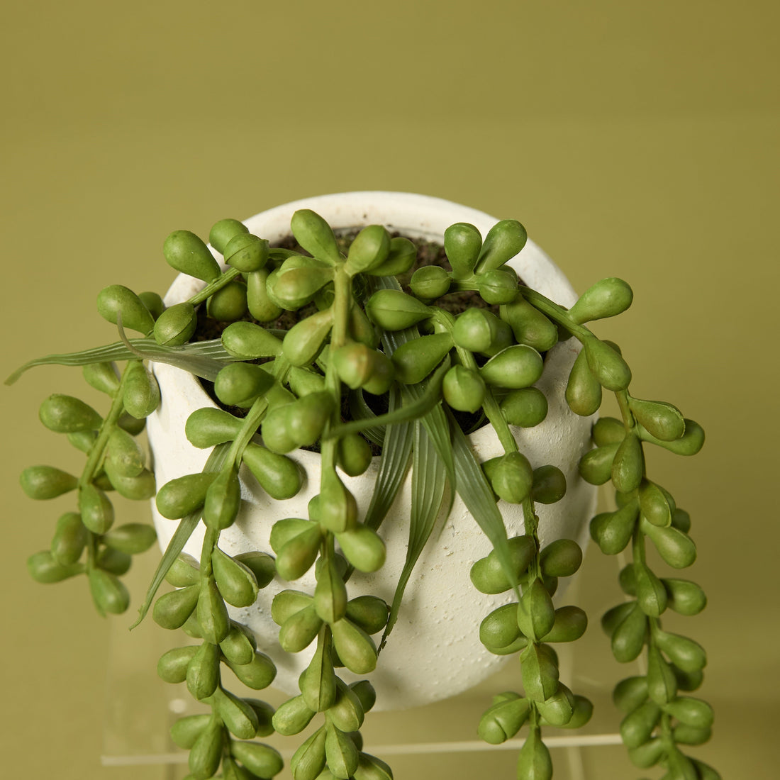 Faux Hanging Pearls - Tub Pot | 22cm