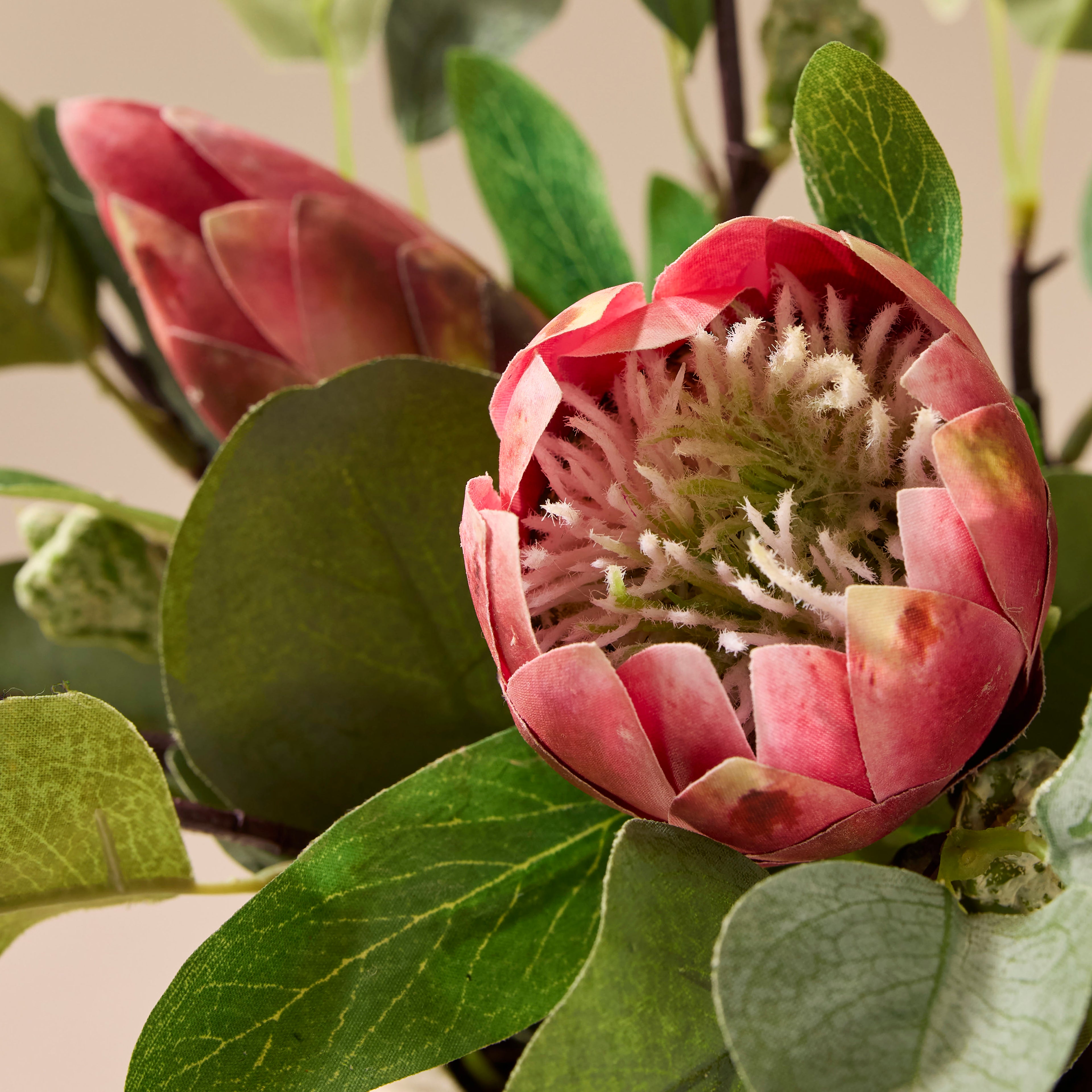 Faux Protea Eucalyptus Pod Mix Arrangement - Rosario Pot 28cm