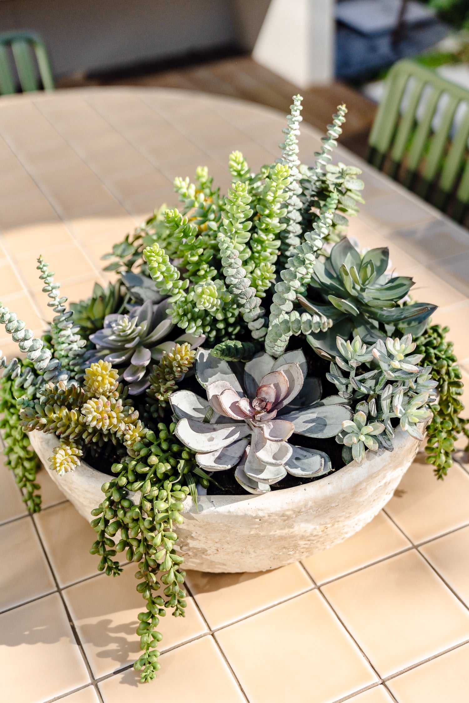 faux succulents in pots Artificial Succulent Garden - Textured Cement Pot | 30cm
