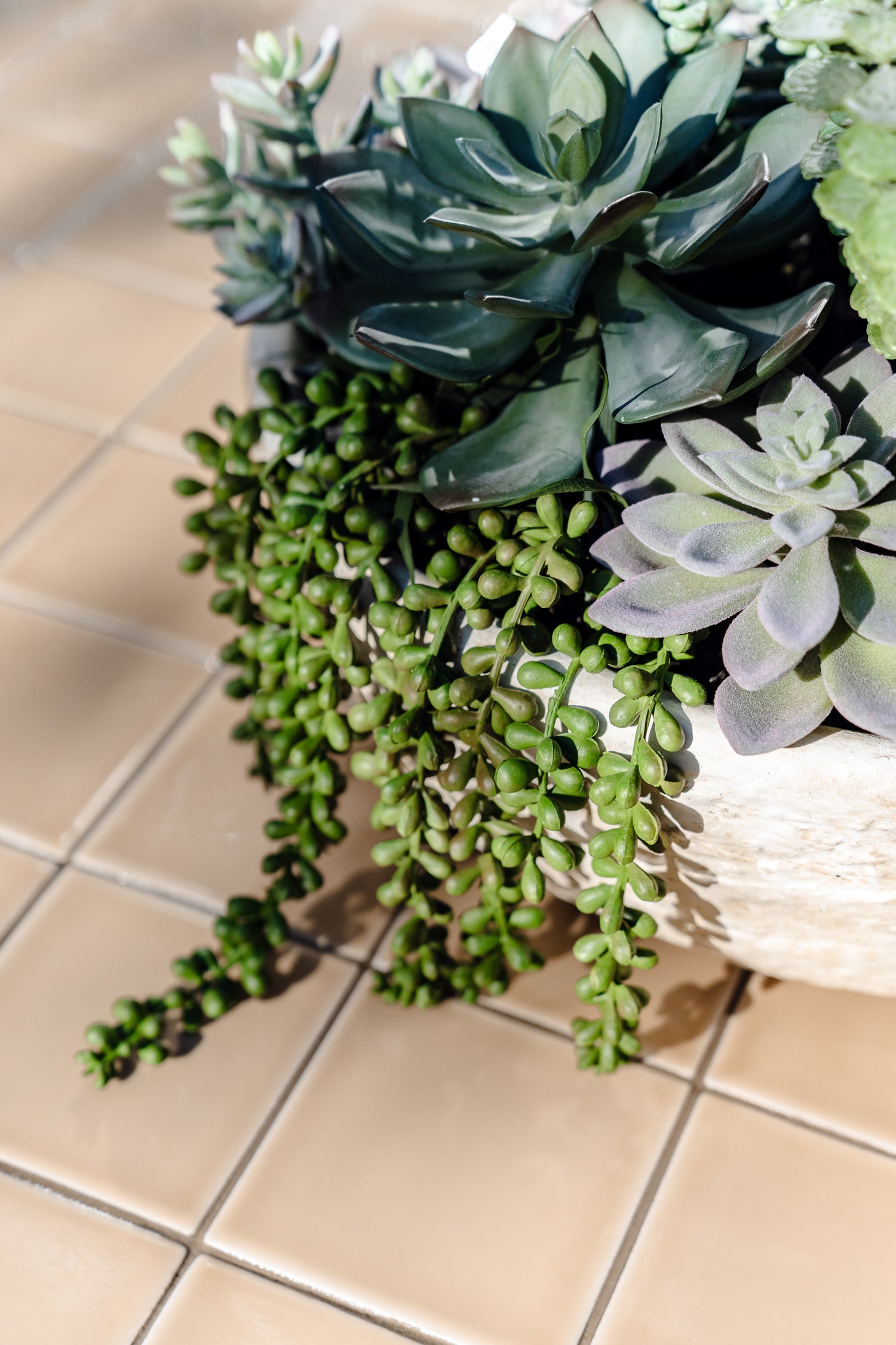 artificial succulents australia Artificial Succulent Garden - Textured Cement Pot | 30cm