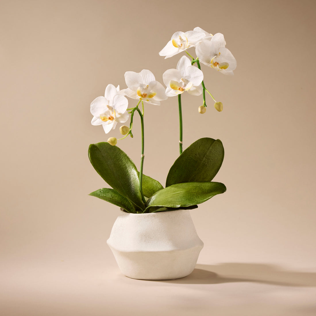 Faux Phalaenopsis Orchid Plant - Maliah Pot | White - 45cm