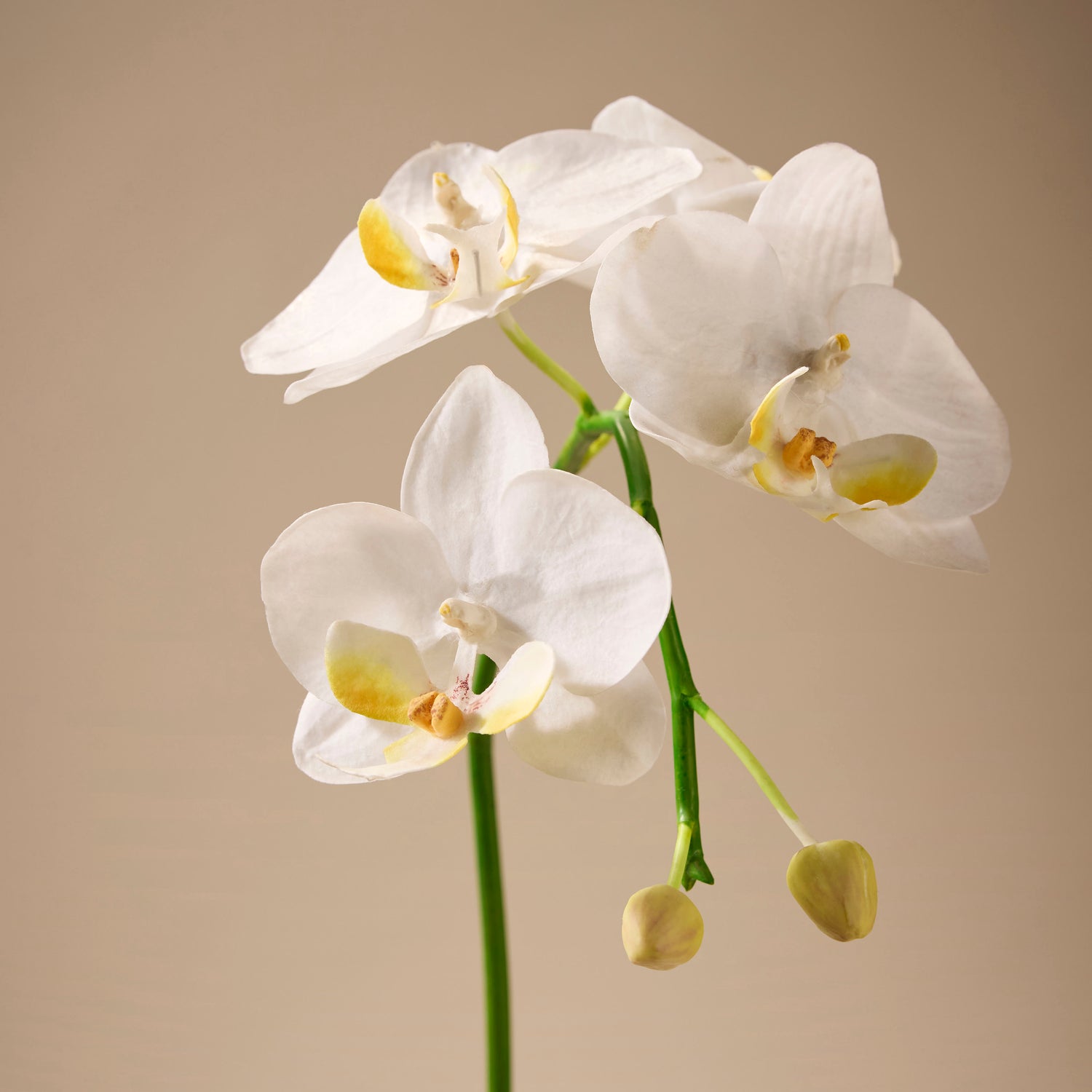 Faux Phalaenopsis Orchid Plant - Maliah Pot | White - 45cm