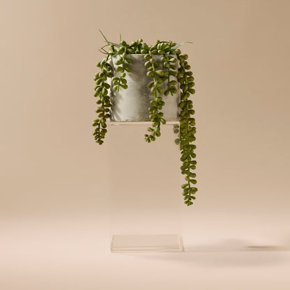 Faux String of Pearls - Cement Pot | 27cm