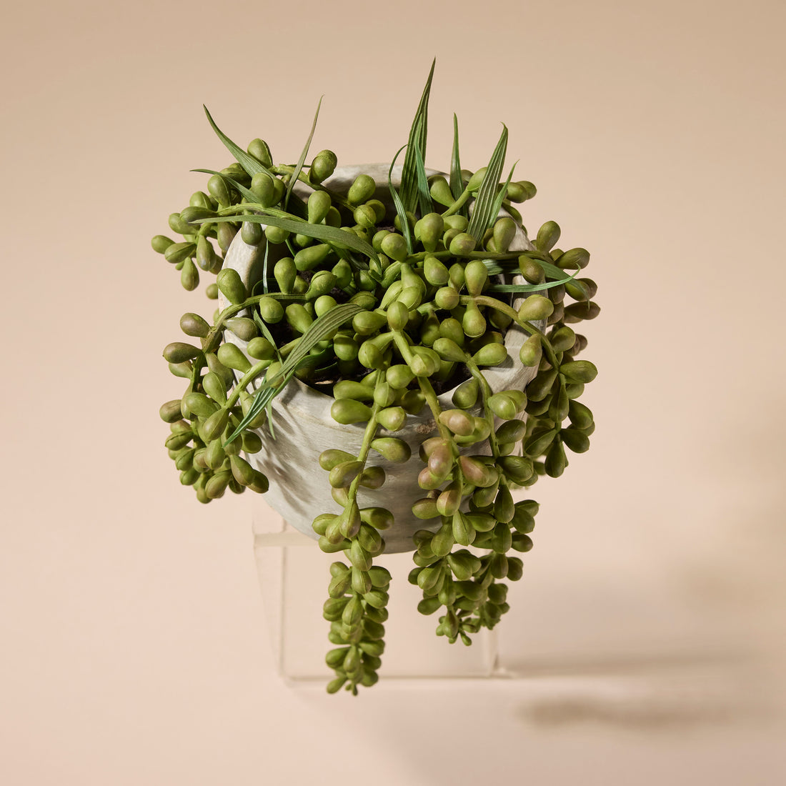 Faux String of Pearls - Cement Pot | 27cm