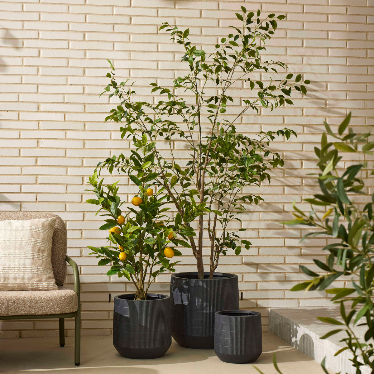 Rogue Otto Planter 3pcs Set Black
