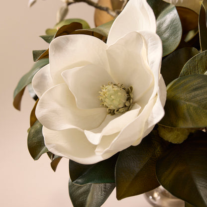 Faux Magnolia Grandiflora - Dahlia Bowl | White - 40cm