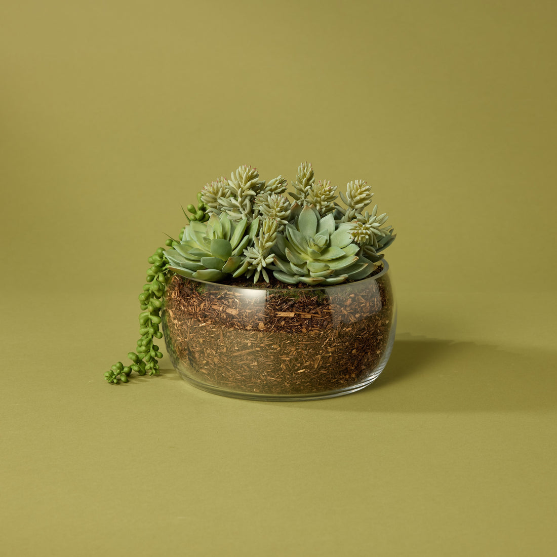 Faux Succulent Mix - Scarlett Bowl | 27cm