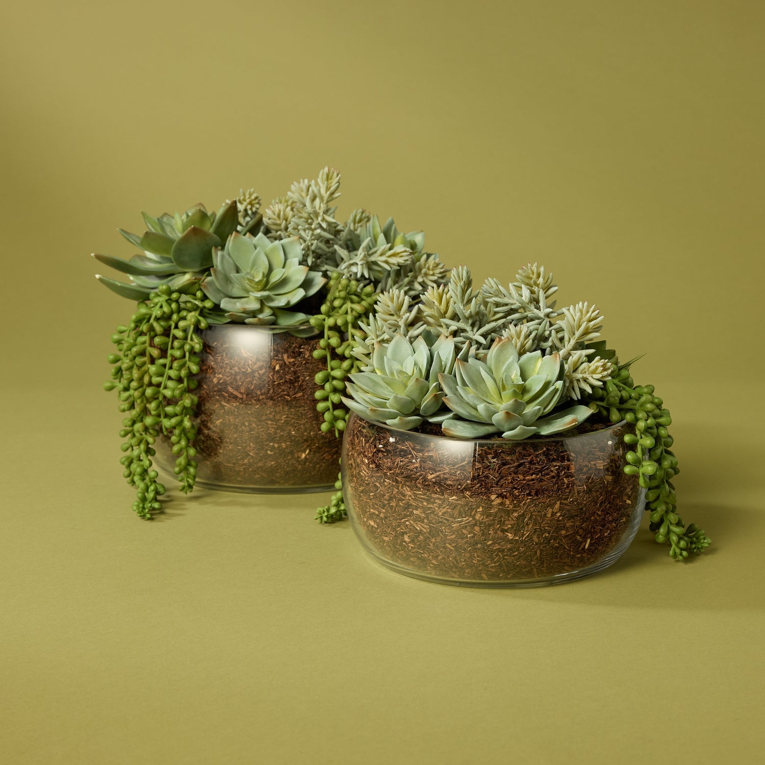 Faux Succulent Mix - Scarlett Bowl | 34cm