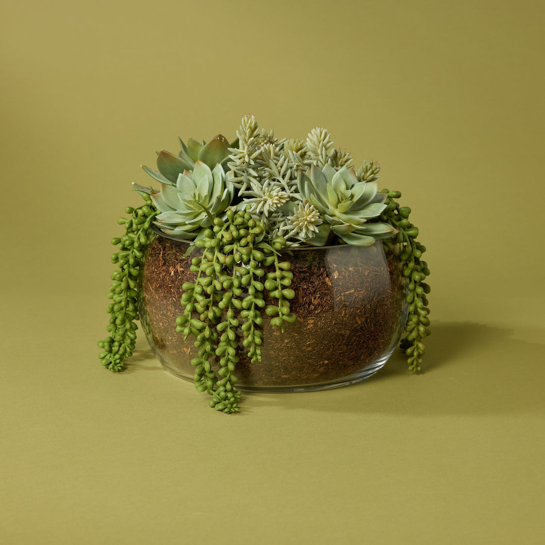 Faux Succulent Mix - Scarlett Bowl | 34cm