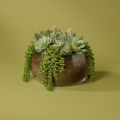 Faux Succulent Mix - Scarlett Bowl | 34cm