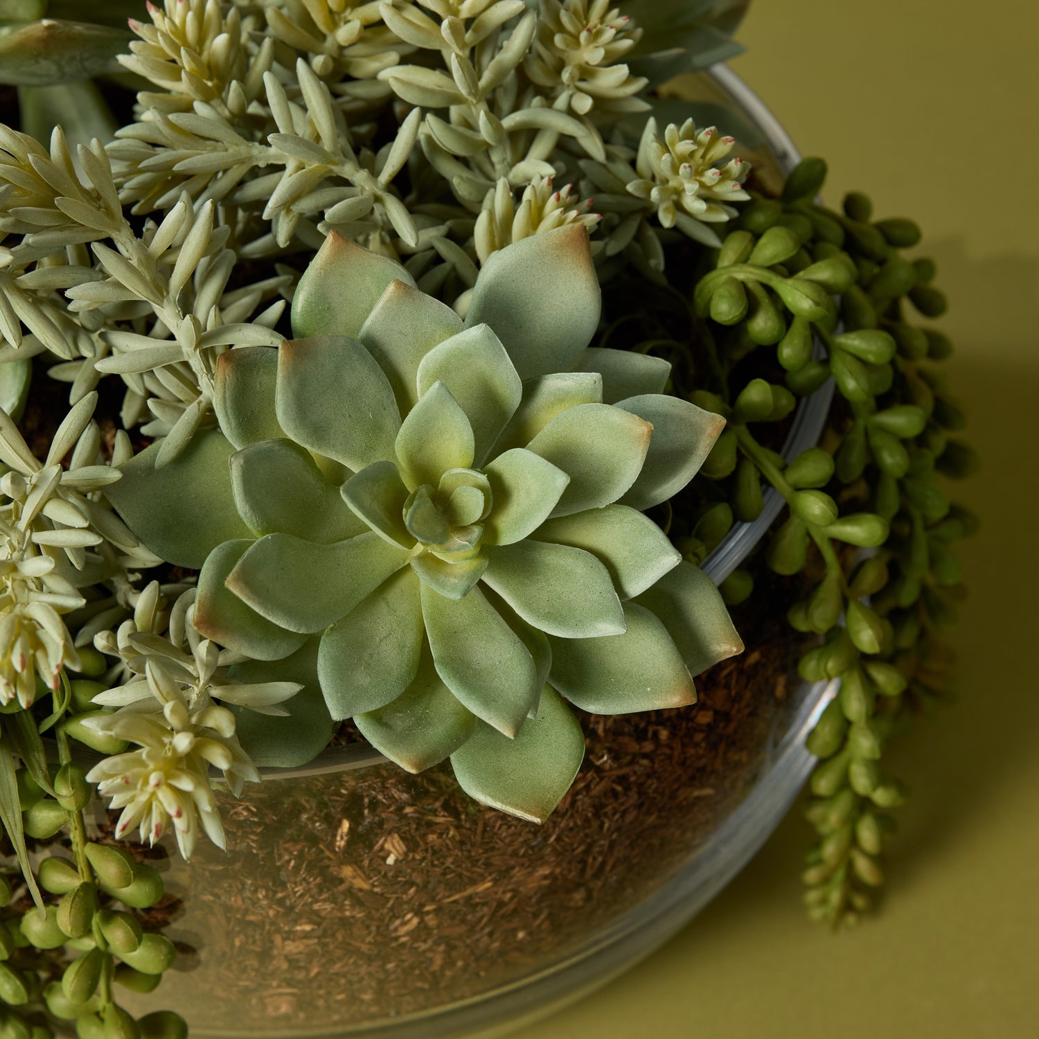 Faux Succulent Mix - Scarlett Bowl | 34cm