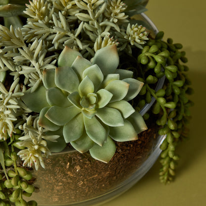 Faux Succulent Mix - Scarlett Bowl | 34cm