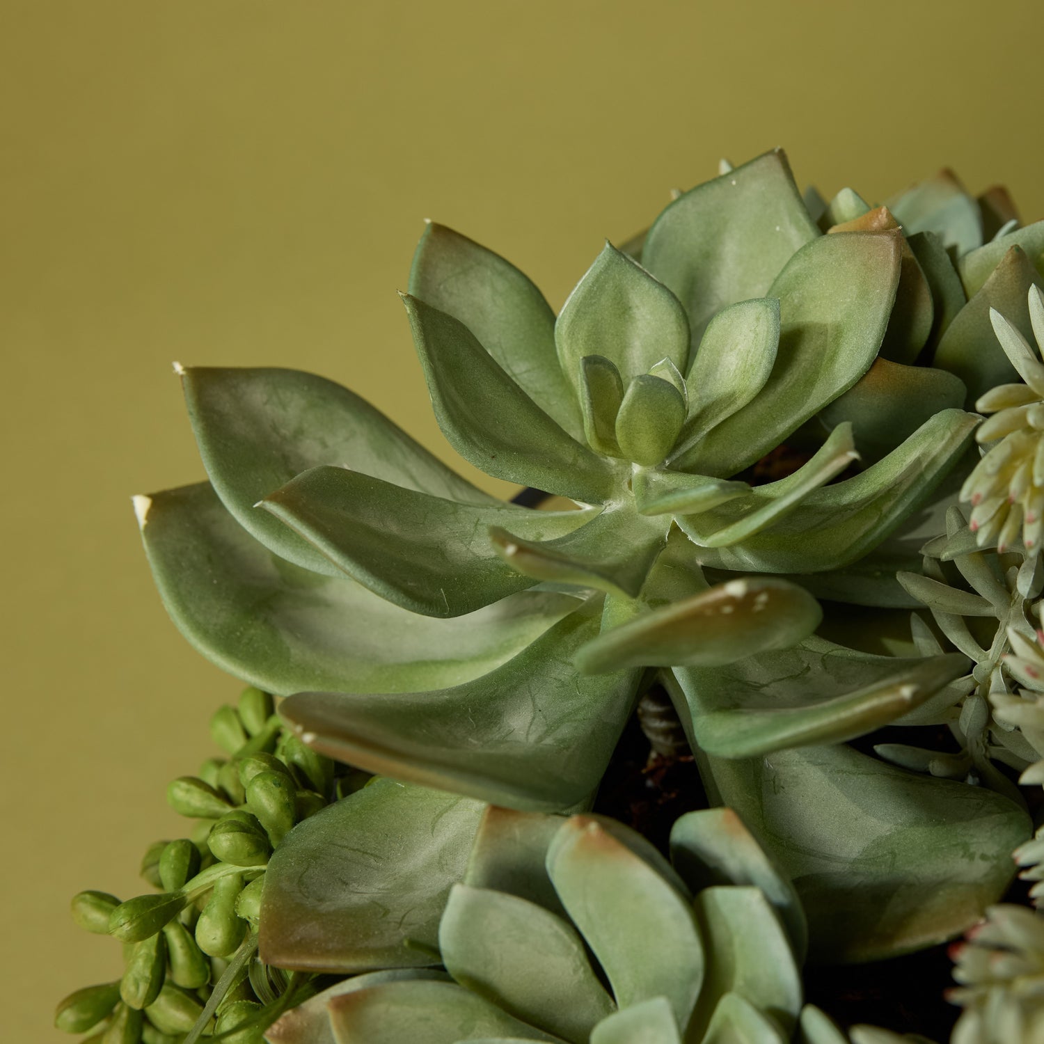 Faux Succulent Mix - Scarlett Bowl | 34cm