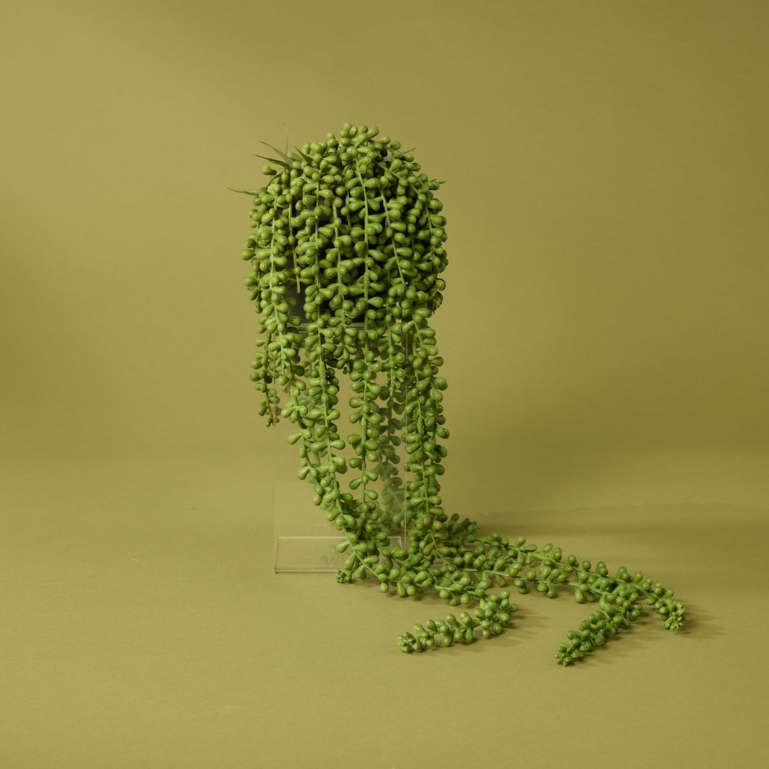 Faux Hanging Pearls - Garden Pot | 63cm