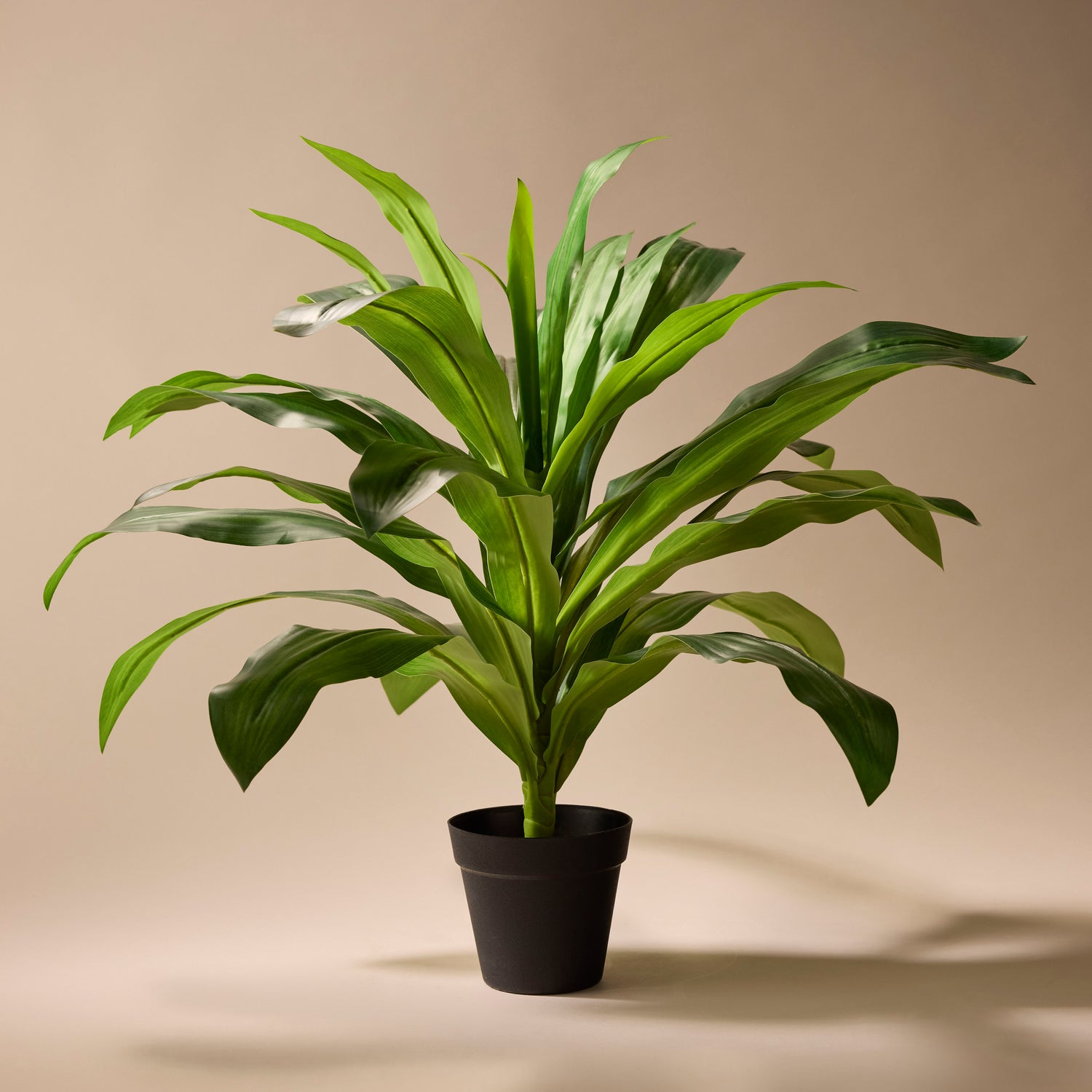 Faux Dracaena - Garden Pot | 60cm