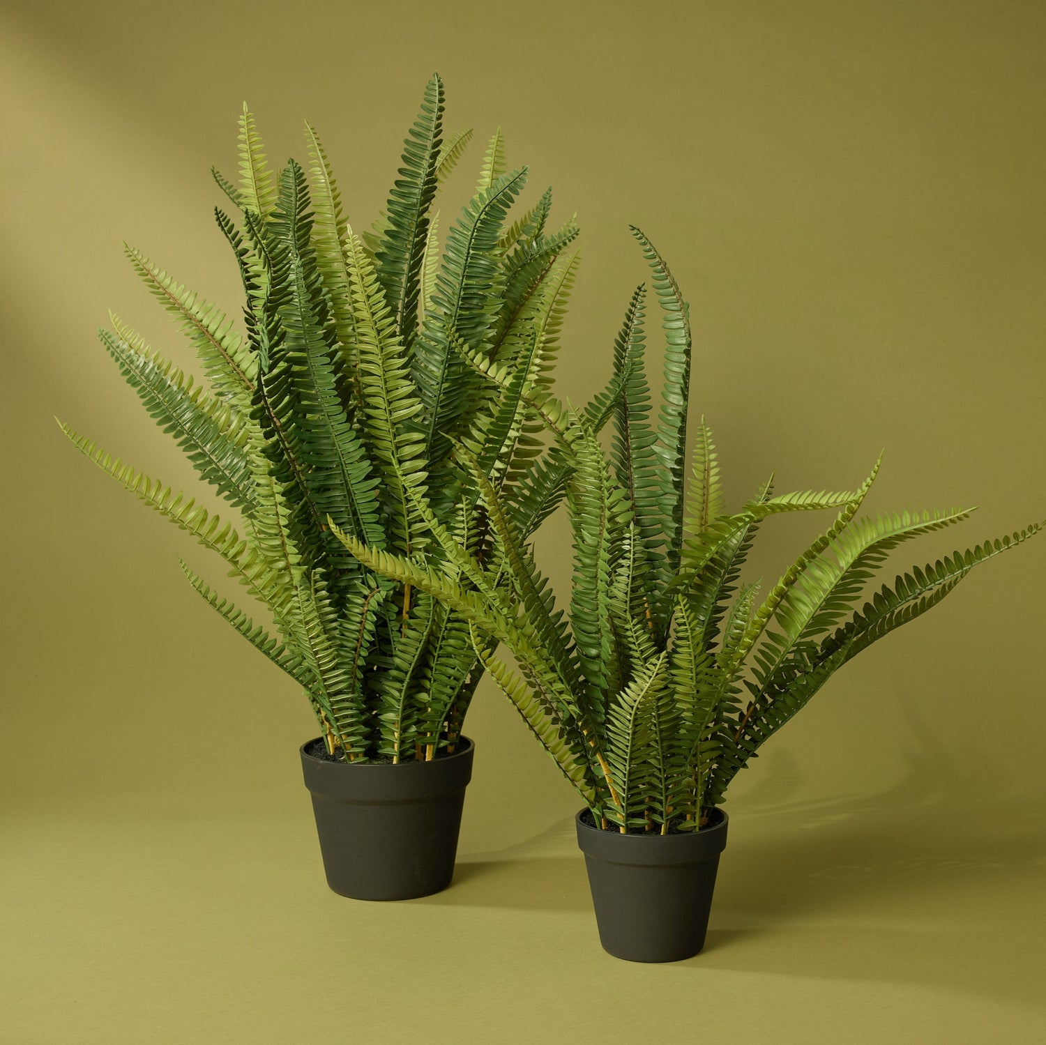 Faux Boston Fern - Garden Pot | 58cm