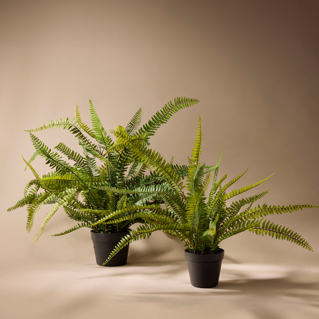 Faux Boston Fern - Garden Pot | 86cm