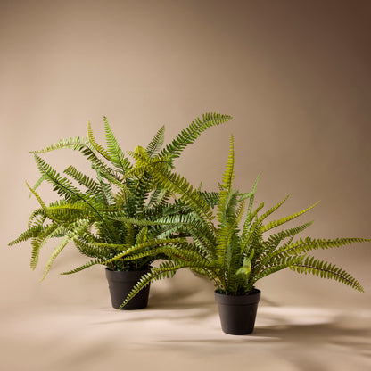 Faux Boston Fern - Garden Pot | 86cm