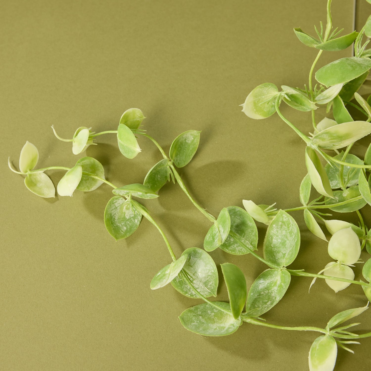 hanging coin plant Artificial Coin Leaf Hanging Plant in Garden Pot