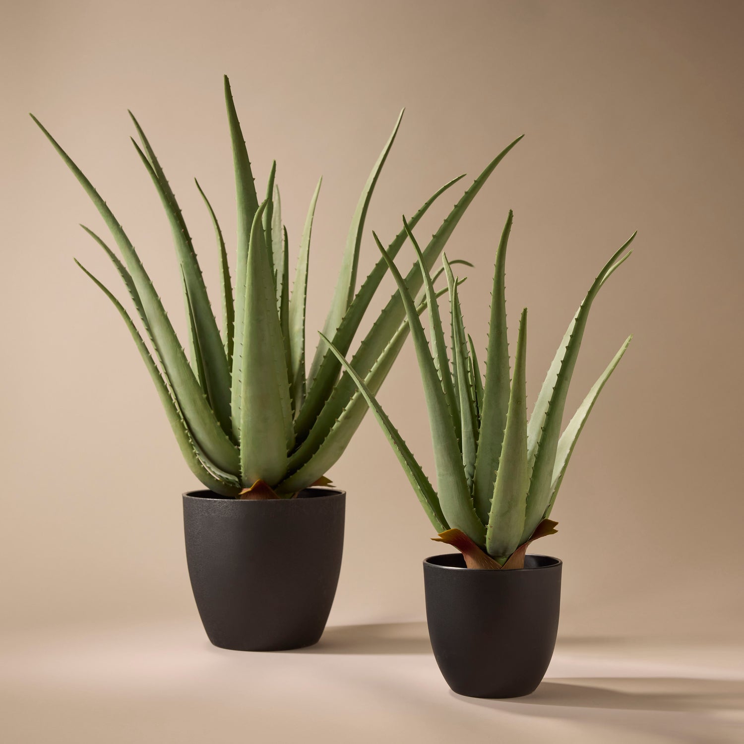 Faux Aloe Plant | 50cm