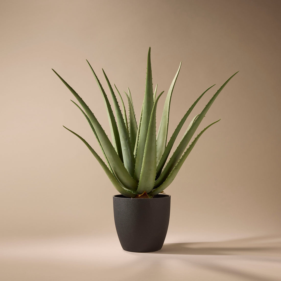 Faux Aloe Plant | 66cm